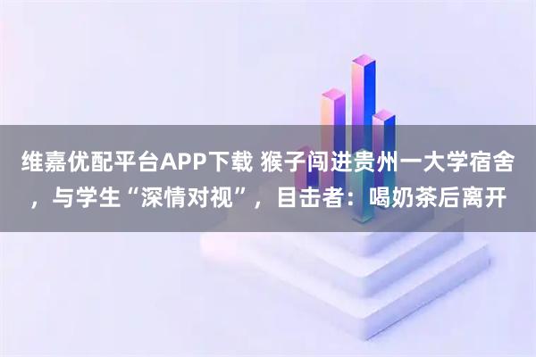 维嘉优配平台APP下载 猴子闯进贵州一大学宿舍，与学生“深情对视”，目击者：喝奶茶后离开