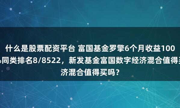 什么是股票配资平台 富国基金罗擎6个月收益100.33%同类排名8/8522，新发基金富国数字经济混合值得买吗？