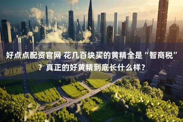 好点点配资官网 花几百块买的黄精全是“智商税”？真正的好黄精到底长什么样？